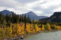 Denali Area